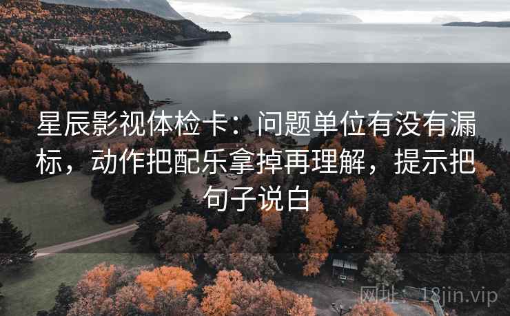 星辰影视体检卡：问题单位有没有漏标，动作把配乐拿掉再理解，提示把句子说白
