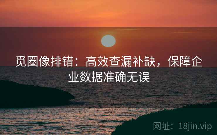 觅圈像排错：高效查漏补缺，保障企业数据准确无误