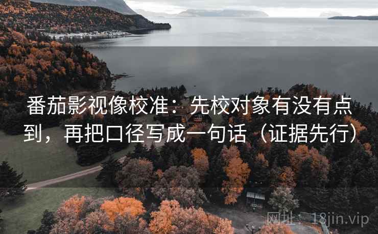 番茄影视像校准：先校对象有没有点到，再把口径写成一句话（证据先行）