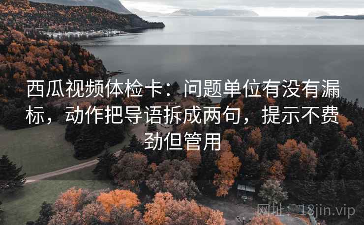 西瓜视频体检卡：问题单位有没有漏标，动作把导语拆成两句，提示不费劲但管用