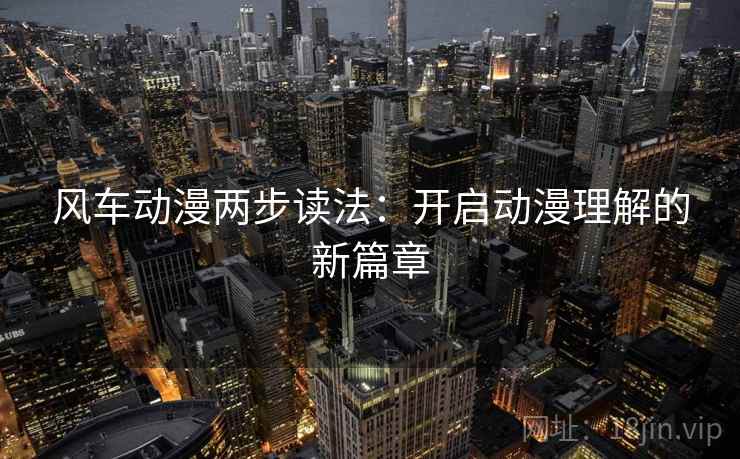 风车动漫两步读法：开启动漫理解的新篇章